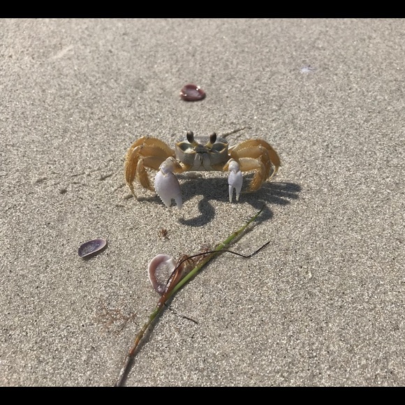 Meet your Posher, Cristina - Picture 2 of 3